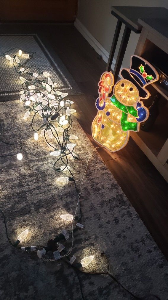 Christmas Outdoor Lights