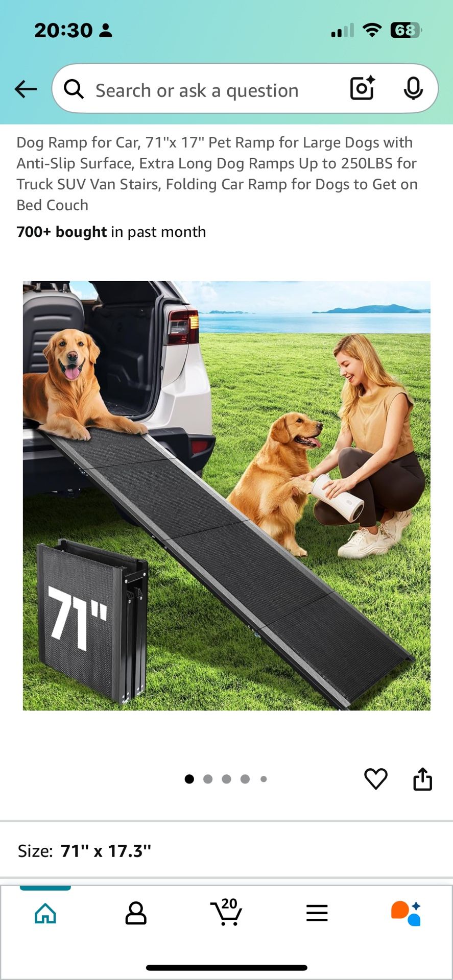 Dog Ramp for Car