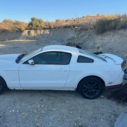2010 Ford Mustang
