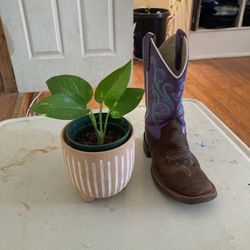 Pothos 