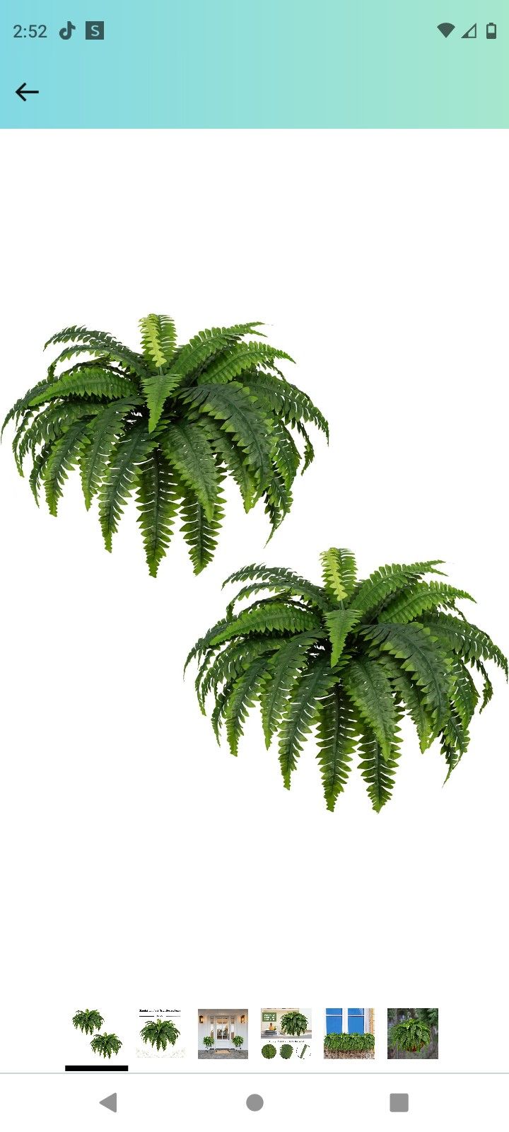 Fake Ferns, Set of 2 Artificia