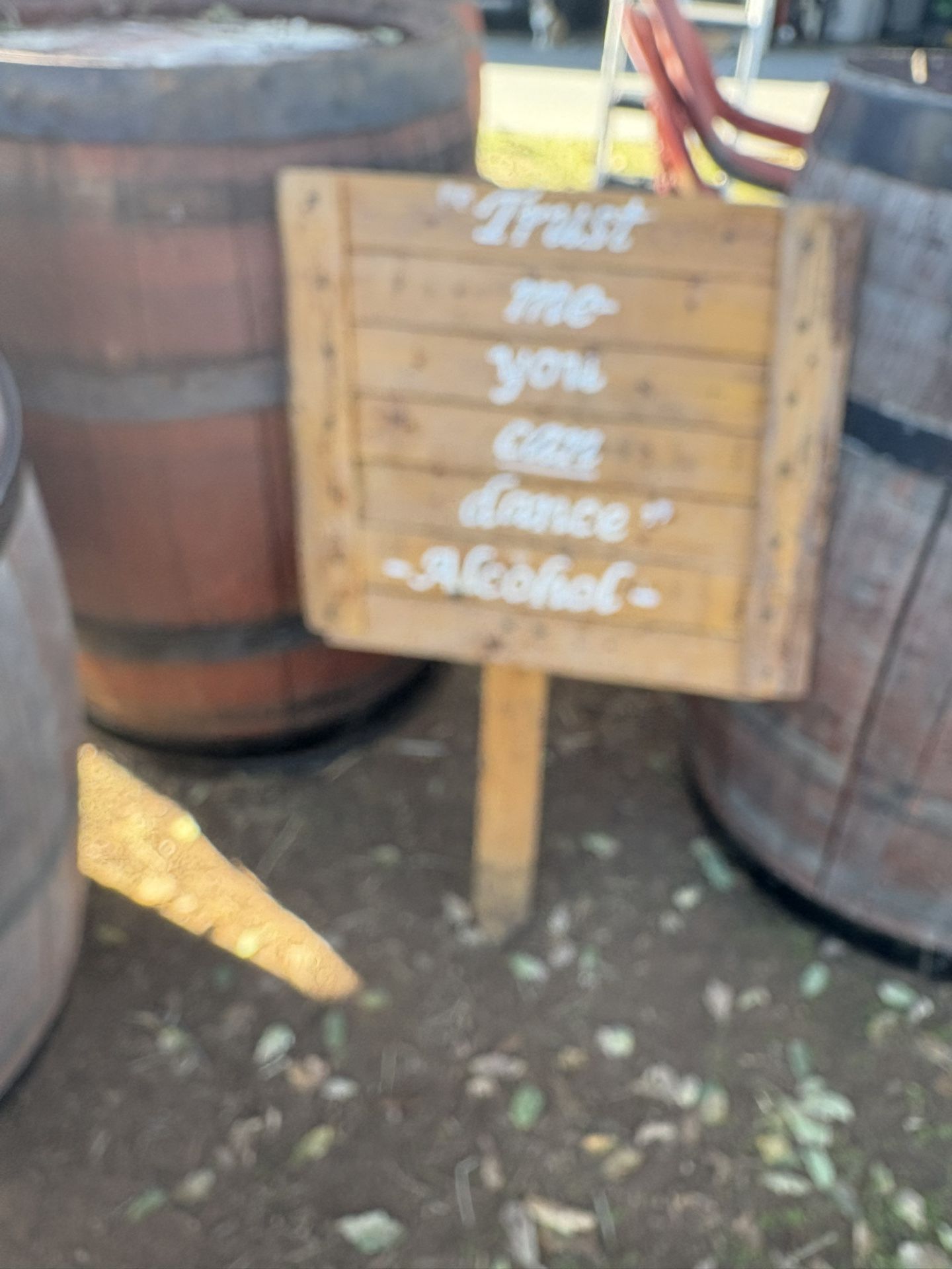 Fun Wood Party Sign