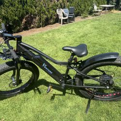 Electric bike