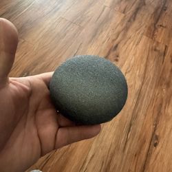 Google Home Mini Smart Speaker