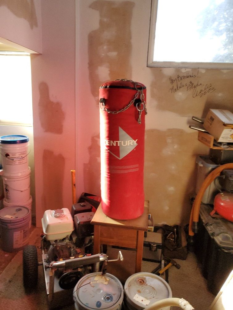 Punching Bag