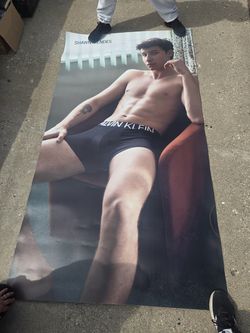 Huge Shawn Mendez poster 60 obo