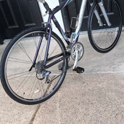 Trek 7500 Multitrak Hybrid Bike 