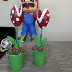Mario  Piñata 