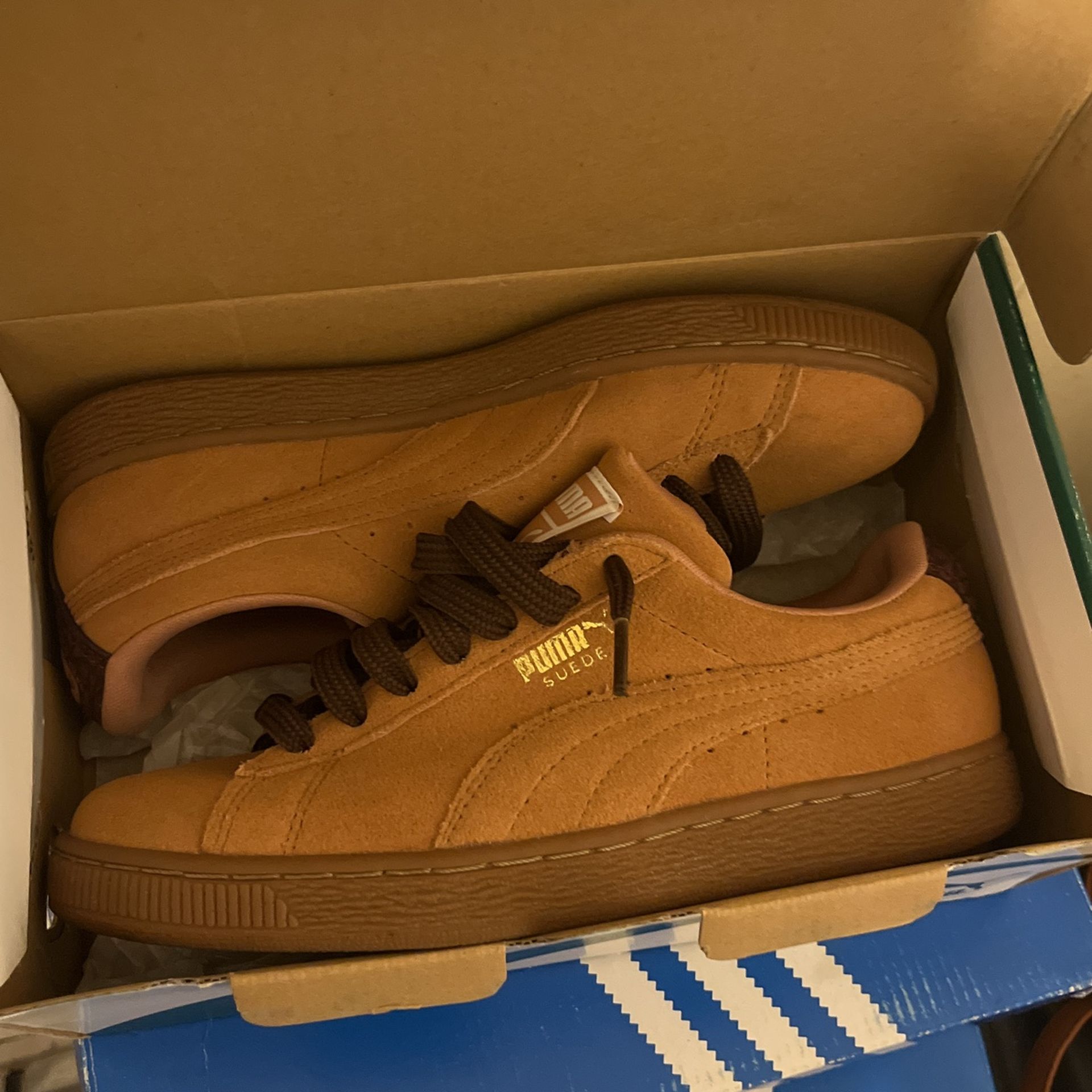 Puma
