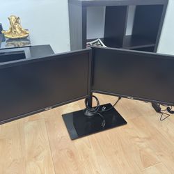 Asus Dual Monitor With Stand