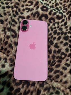 16 plus