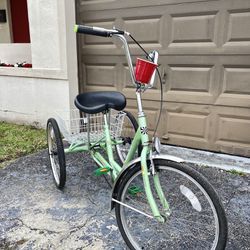 Adult Tricycle Cruiser