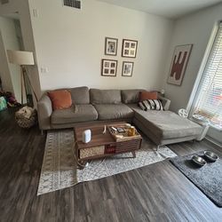 Sectional Grey Couch