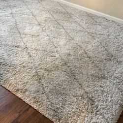 Area Shag Rug