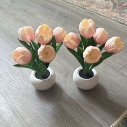Small tulip lights