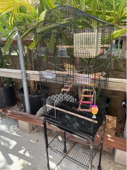Bird house