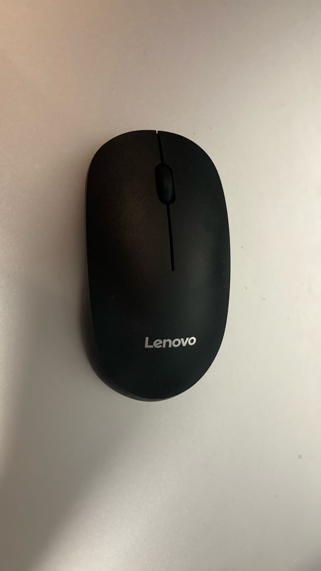 Mouse