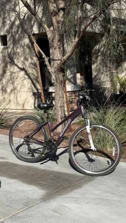 Bicycles Different Size And Style