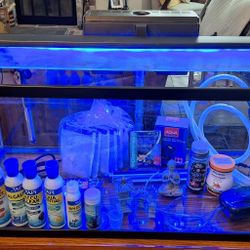 40 Gallon Fish Tank and Startup Kit