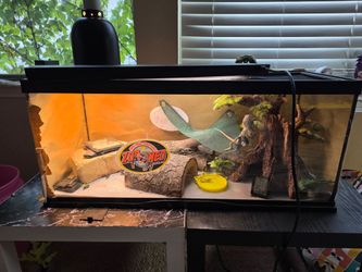 20 gallon terrarium