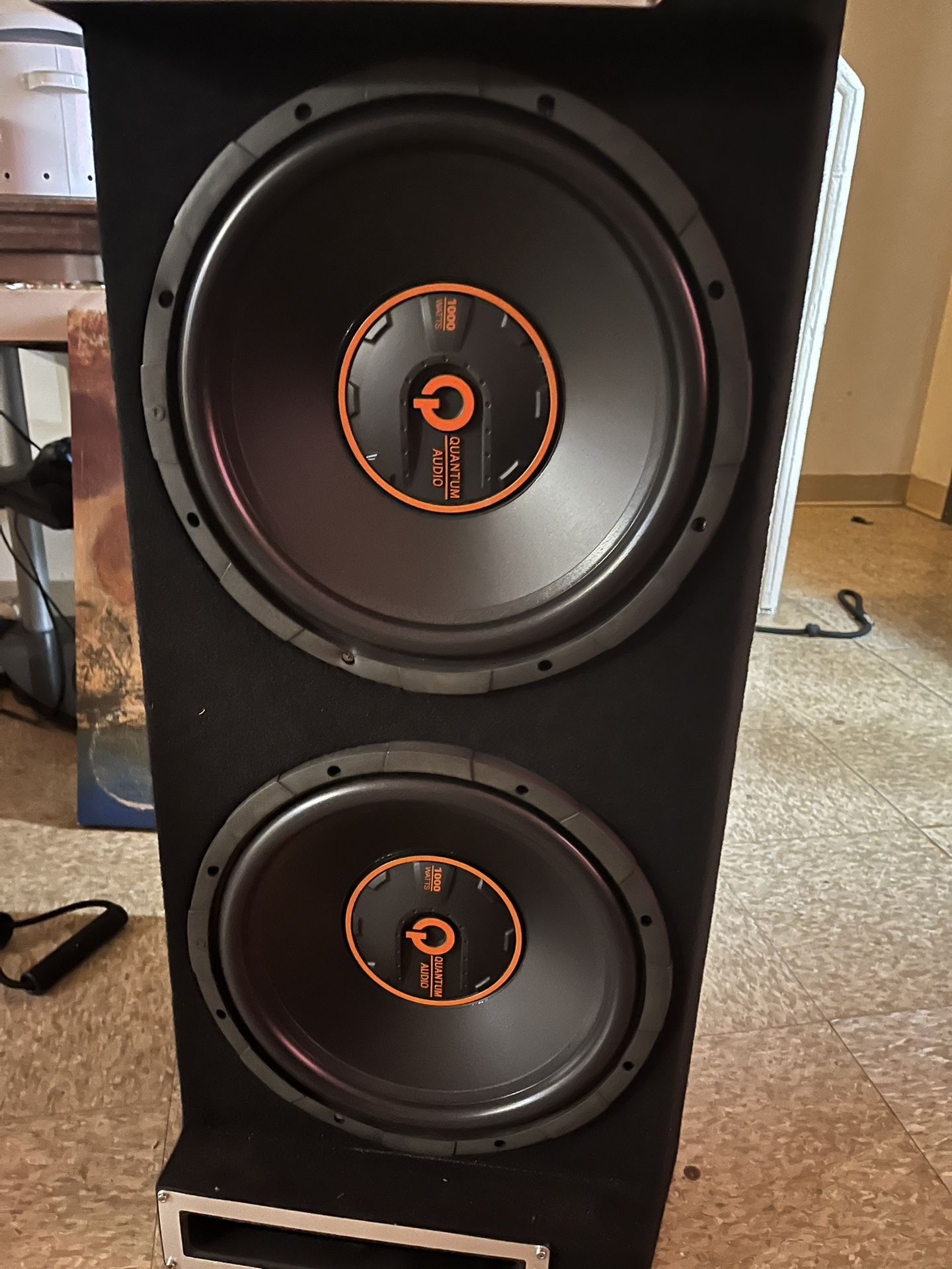 12s Subwoofer 