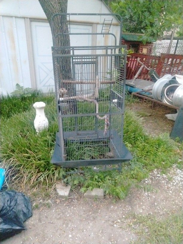 Bird Cage