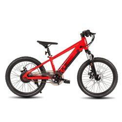 JOYSTAR Starmoto 20 Inch Electric Bike for Kids & Teenagers