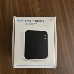 Blink Sync Module 2