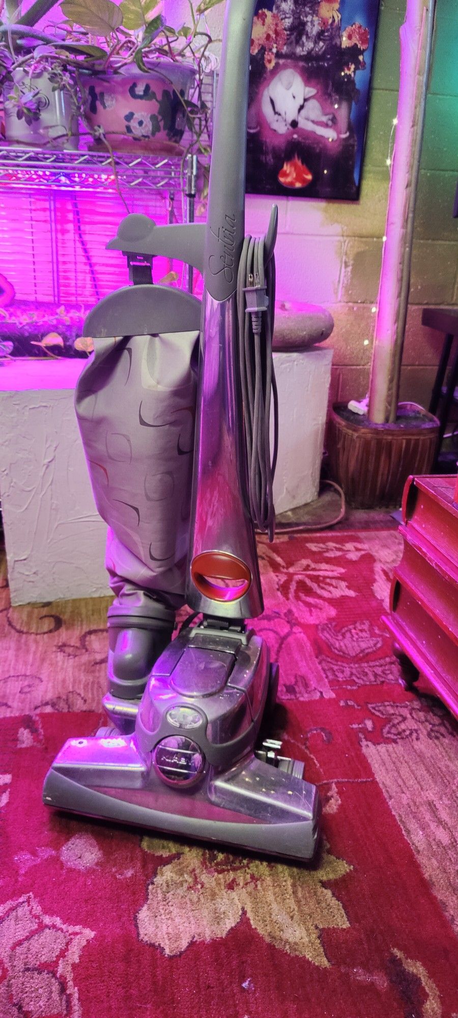 Kirby Sentria Vacuum