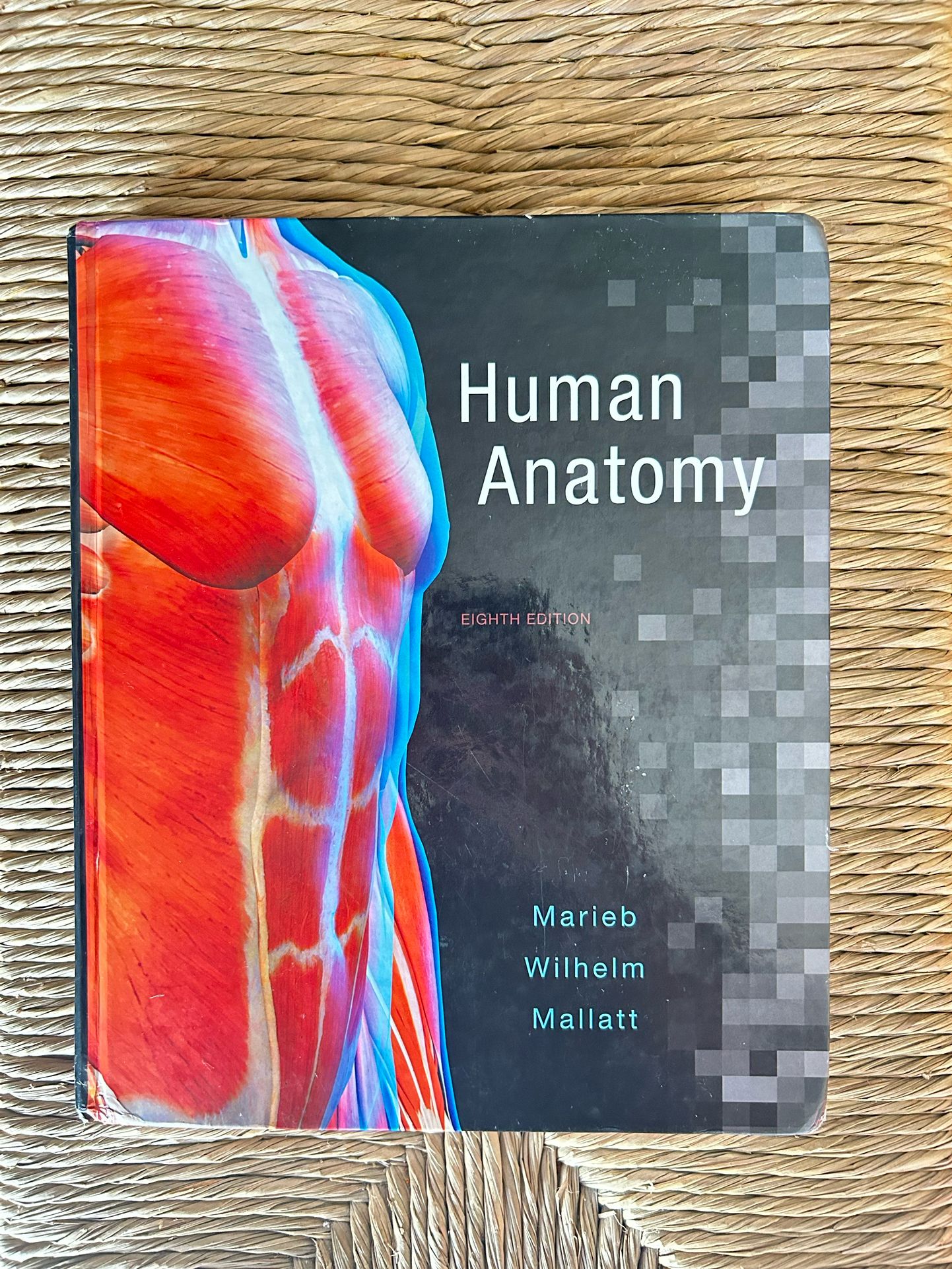 Human Anatomy 8th Edition