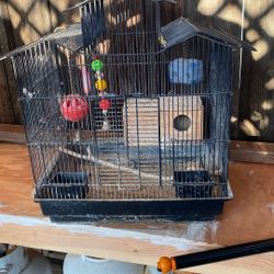 Bird Cage 