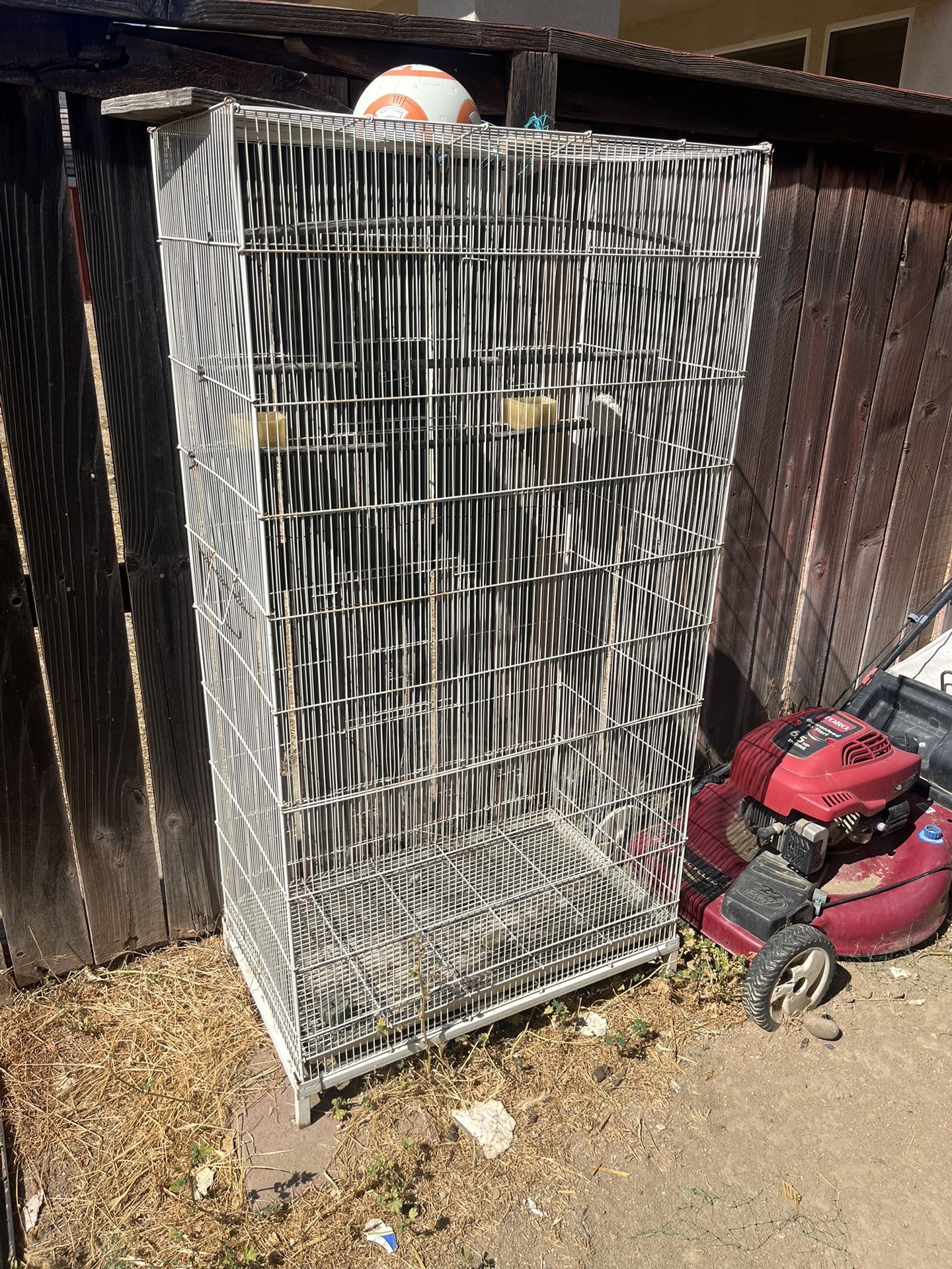 Free Bird Cage