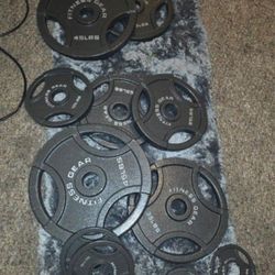 300 Pounds Weights