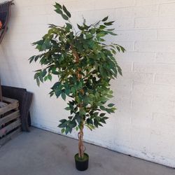 Silk Plant Tree - $20