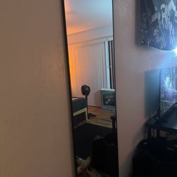 Mirror 64”x21