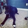 Ben