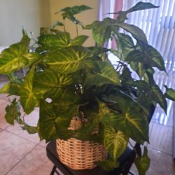 Artificial Plant 1ft Tall 