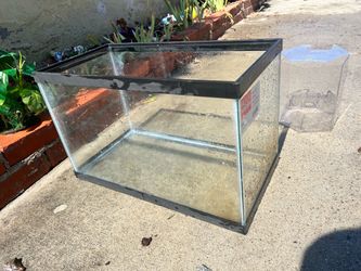 Aqua Culture 10 Gallon Glass Aquarium