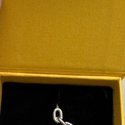 Chain link Silver Earring 