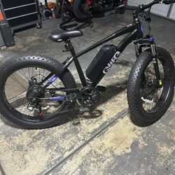 Electric Bike - Qlife Racer Plus