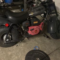 Baja Warror 200 Minibike