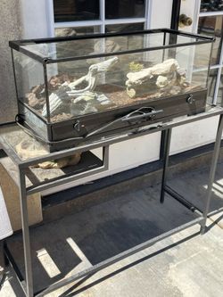 Repti-Zoo brand reptile terrarium, likely featuring a 20-gallon capacity and a front-opening door for easy access.