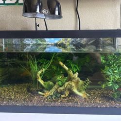 40 Gallon Fish Tank 