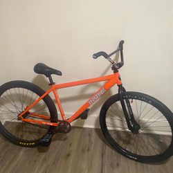 Thorne bike 29ER