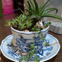 Teacup Planter