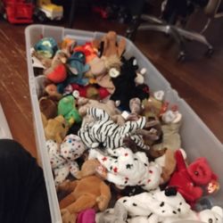 Entire TY beanie baby collection