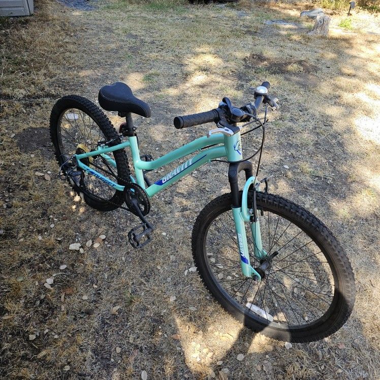 24" Girl's Mountain Bike