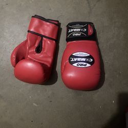 Pro Combat Boxing Gloves