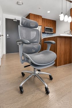 Welax S9 Pro Ergonomic Mesh Office Chair + Office Oasis Rollerblade Wheels