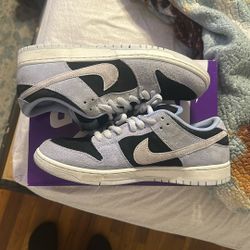 Sz 12 Aluminum Sb Nike Used